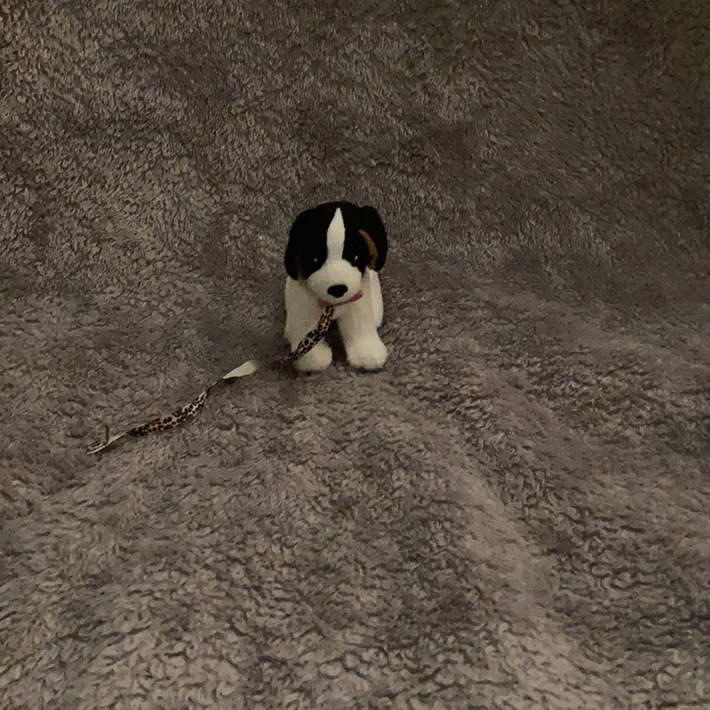 dog companion for any purpose